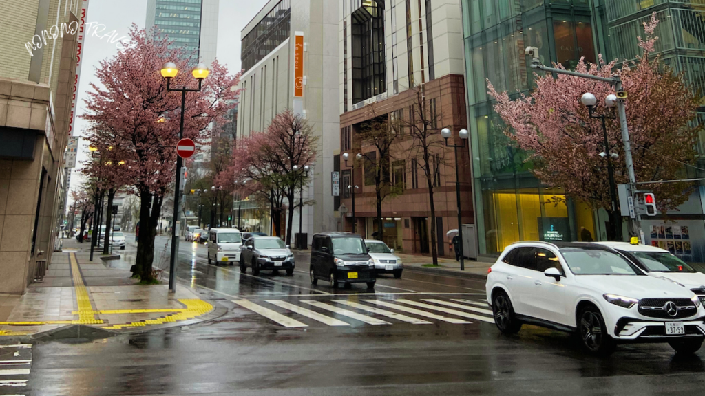 日本街道駕駛